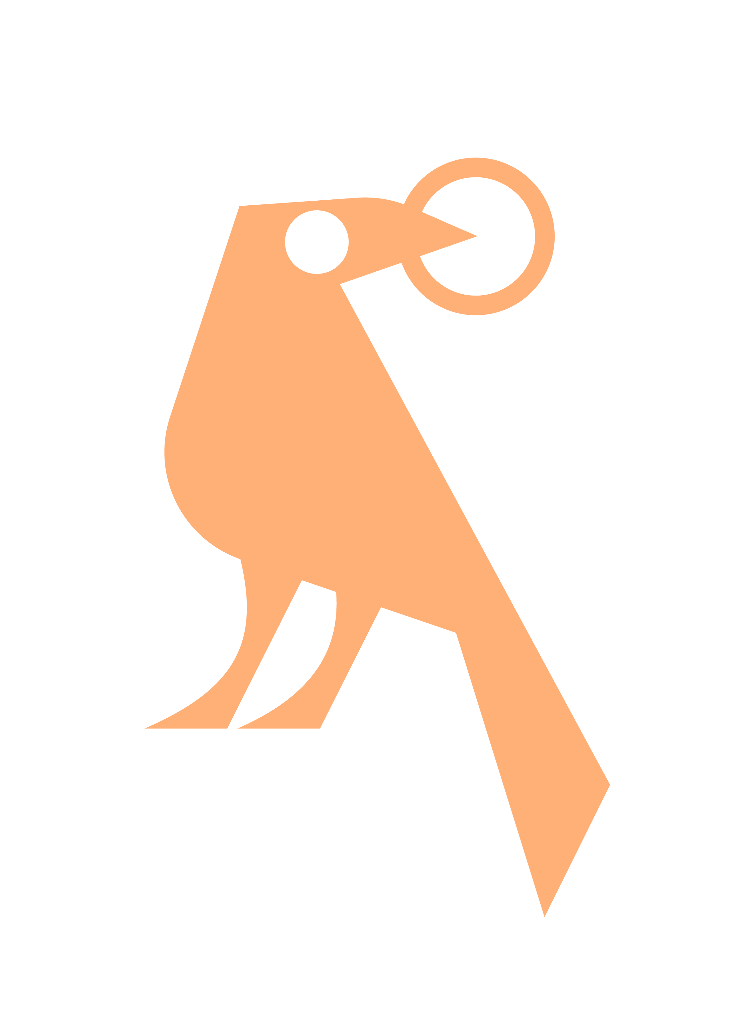 TROVE_CROW_DRAFT_ORANGE