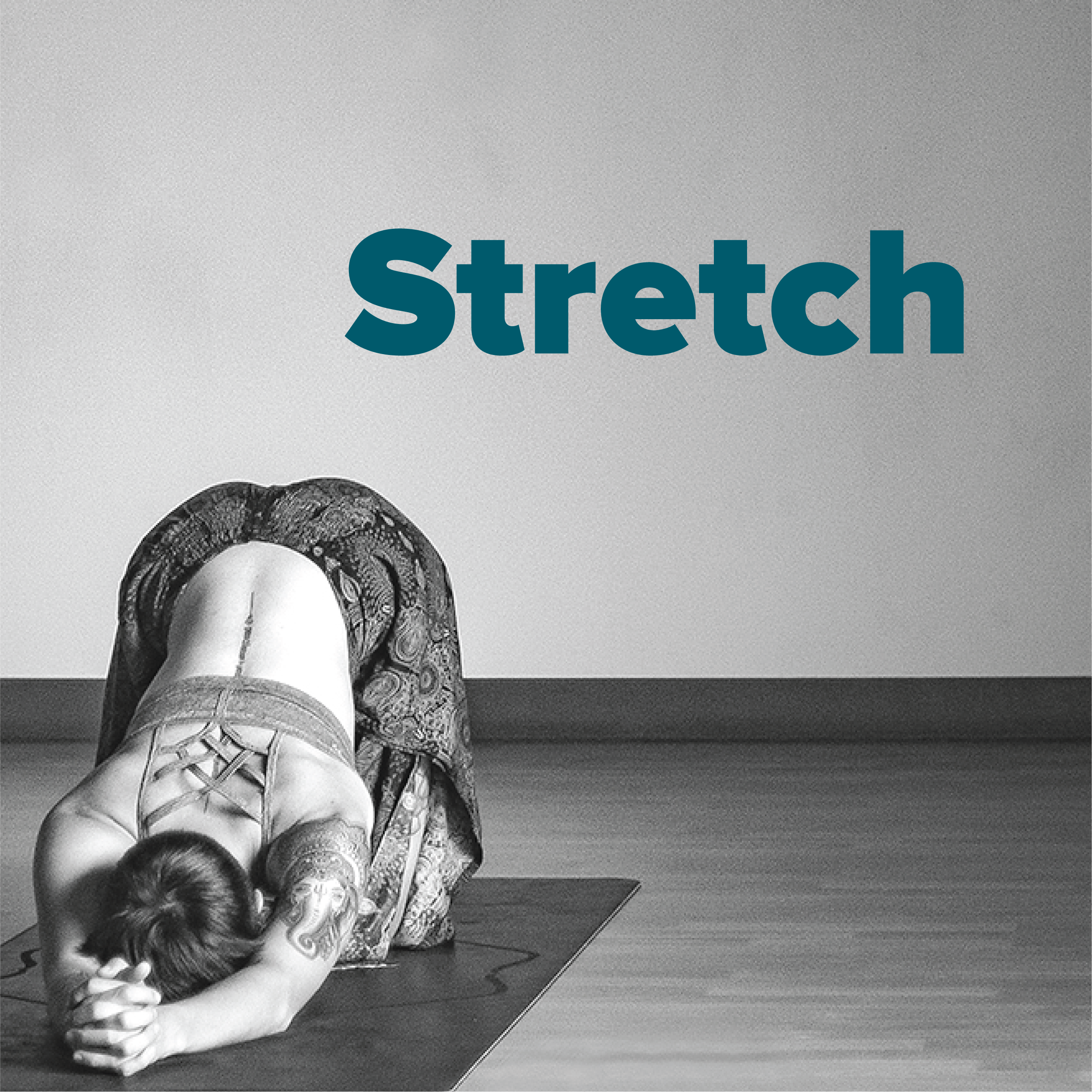 MembershipDrive_122319_ES8_IG_Stretch3